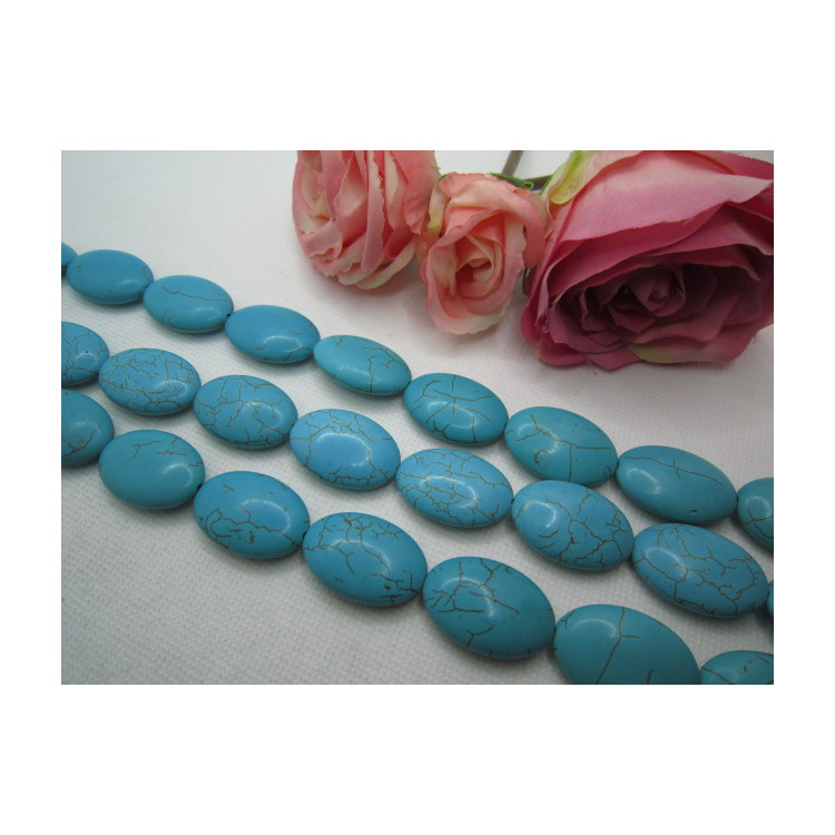 PERLES TURQUOISE OVALE 20X30MM